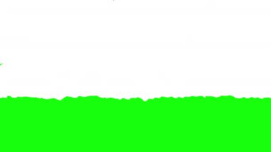 Fırça dönüşümü. 4K boyalı fırça darbesi geçiş animasyonu