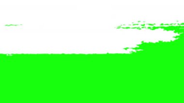 Fırça dönüşümü. 4K boyalı fırça darbesi geçiş animasyonu