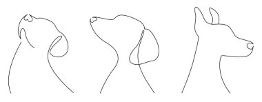 Köpeğin sürekli çizdiği çizgiler, yavru bir köpeğin çizimleri.