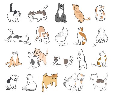 Rastgele renkte sevimli kediler, kediler farklı pozlarda oynuyorlar.