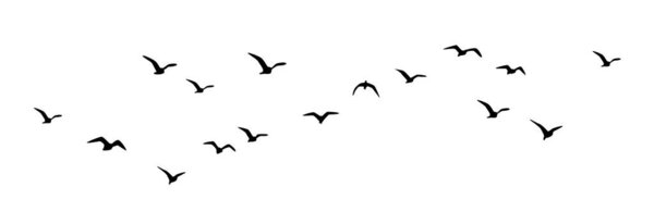 Bird flying, birds in flight, Flying flock of birds vector silhouette