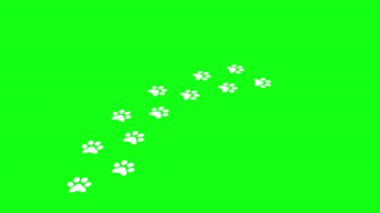 Yeşil ekranda pençe simgesi, Kedi ya da köpek pençesi izi