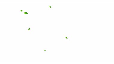 Yeşil yapraklar soldan sağa uçuyor, beyaz arkaplanda yapraklar, ekoloji