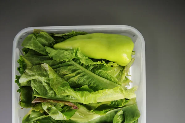 Ensalada Verduras Verdes Recipiente Refrigerador Ensalada Fresca Crujiente Almacenada Para —  Fotos de Stock