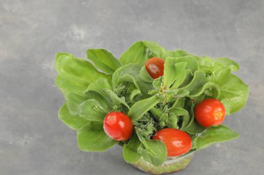 Doğanın donmuş sanat eserleri yemyeşil bir buz yaprağı, narin buz kristalleriyle süslenmiş.