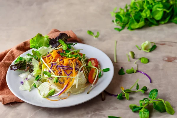 Tabakta Sağlıklı Sebze Salatası Lezzetli Besleyici Vejetaryen Yemeği — Stok fotoğraf