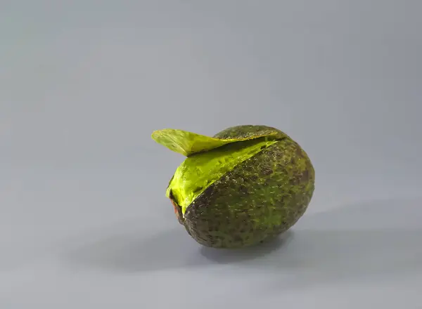 Exposed Avocado Textured Skin Backdrop — Stock Photo, Image
