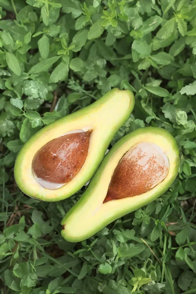 Grüne Avocado Mit Kern Isoliert Auf Weiß — Stockfoto