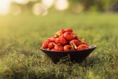 Beyaz arka planda kerevit ve karides kuyruğu