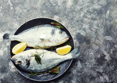 Pişmemiş dorado balığı, çiğ deniz ürünleri.