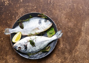Taze yakalanmış dorado balığı aşçılık için hazır.