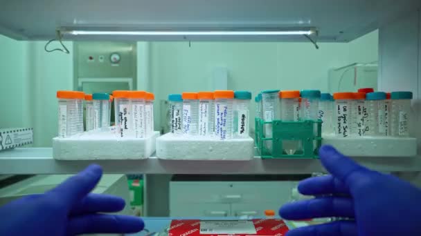 Ingéniosité Laboratoire Vue Arrière Biochimiste Développant Des Pilules Médecine Travail — Video