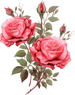 Gül çiçeği tasarımı klasik elementler 