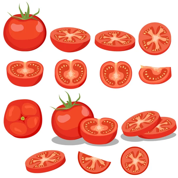 Свежие Красные Помидоры Различные Виды Нарезки Овощей Векторная Иллюстрация Eps10 — стоковый вектор