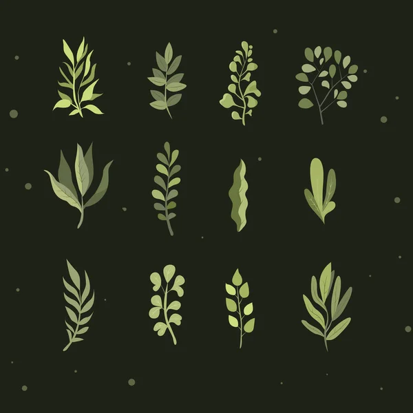一组绿色的森林 热带植物 草叶在黑暗的背景上被隔离 指定的矢量说明 Eps10 — 图库矢量图片