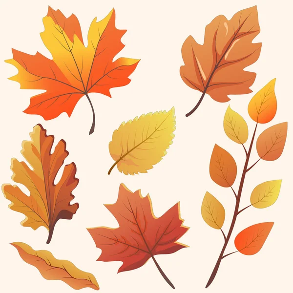 Conjunto Folhas Outono Coloridas Ilustração Vetorial — Vetor de Stock