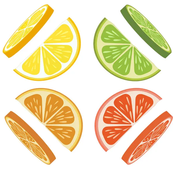 Sada Citrusových Plátků Vápna Pomeranče Grapefruitu Citronu Vektorová Ilustrace Eps10 — Stockový vektor