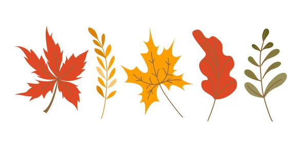 Bonito Outono Colorido Folhas Estilo Cartoon Conjunto Folhas Queda Isoladas — Vetor de Stock