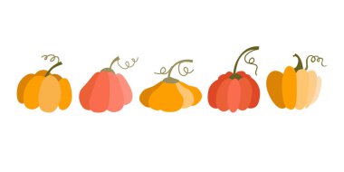 Balkabağı çizgi film stili. Değişik şekil ve renkte sebzeler. Şükran Günü ve Cadılar Bayramı elementleri. Posterlerdeki parmak izleri için vektör etiketleri, kartpostallar. Resimler beyaz arkaplanda izole edildi.