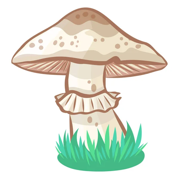 Wild Champignon Mushroom Vector Image Background — Stock Vector