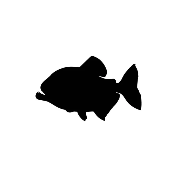Migliore Immagine Piranha Silhouette Con Sfondo Bianco Migliori Disegni Piranha — Vettoriale Stock