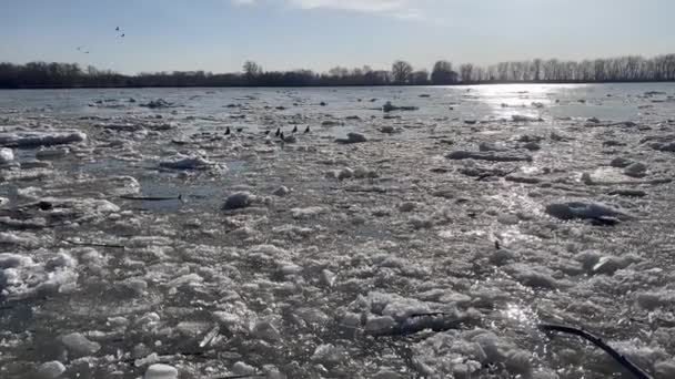Video Nehirde Eriyen Buzları Yakalıyor Buz Parçaları Yavaşça Akıntı Yönünde — Stok video