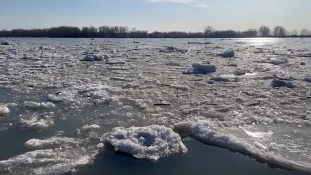 このビデオでは 春の暑さが川の氷を溶かす方法を捉え 濃い青の水を公開します 川に沿って大きな氷の塊が浮かび 亀裂や氷の研削の音を作り出します — ストック動画