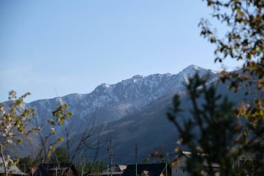 Ağaçların ve dağların manzarası, Hakuba, Nagano, Japonya