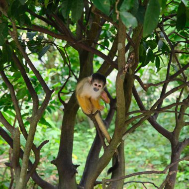 Sahilde gün batımı
