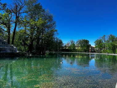 Parma İtalya 'nın Pilotta Parkı' nda ördekler ve kaplumbağalar var. Yüksek kalite fotoğraf