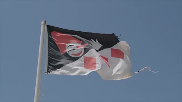 Flaga Karnawału Viareggio Machająca Wietrze Słoneczny Dzień Zwolniony Ruch Wysokiej — Wideo stockowe