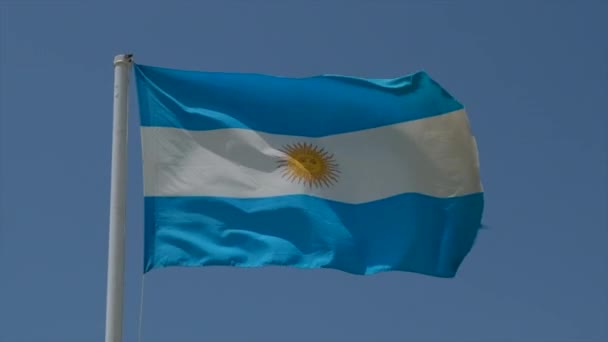 Stor Argentinsk Flagga Viftar Vinden Solig Dag Slow Motion Högkvalitativ — Stockvideo