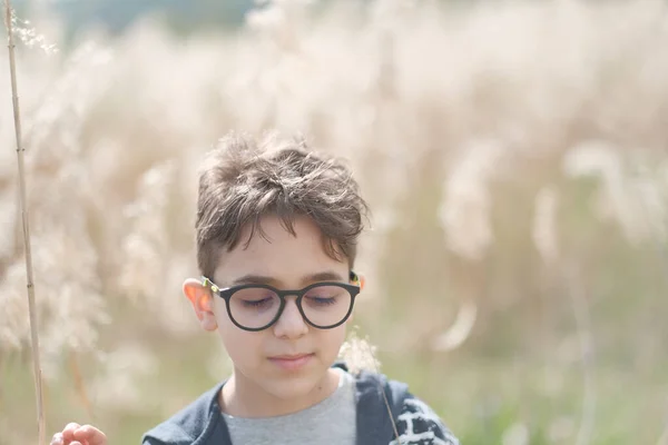 Porträt Eines Kleinen Jungen Mit Brille Der Natur Hochwertiges Foto — Stockfoto
