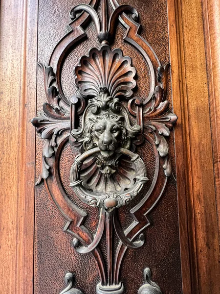 Poignée Porte Bronze Avec Tête Lion Motifs Floraux Photo Haute — Photo
