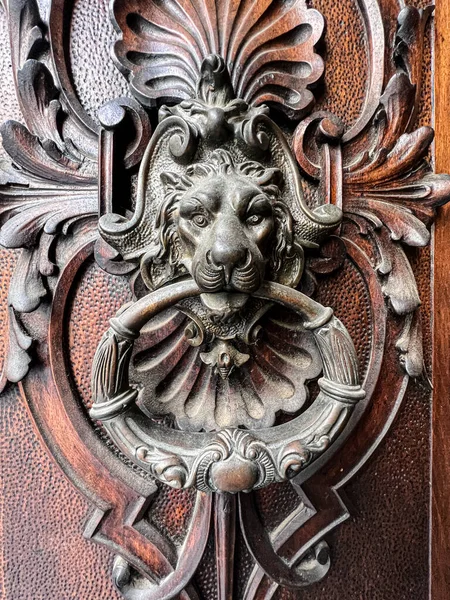 Poignée Porte Bronze Avec Tête Lion Motifs Floraux Photo Haute — Photo