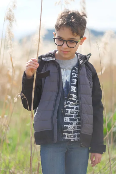 Doğada Gözlüklü Küçük Bir Çocuğun Portresi Yüksek Kalite Fotoğraf — Stok fotoğraf