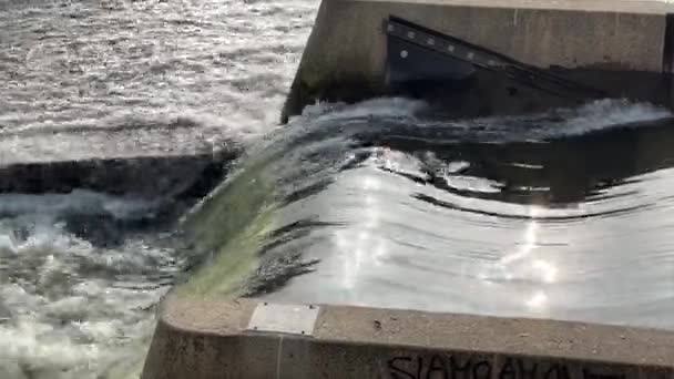 Esclusa Agua Con Gran Caudal Del Río Turín Imágenes Alta — Vídeo de stock