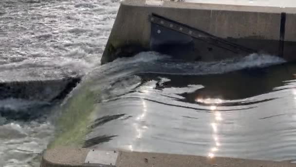 Esclusa Agua Con Gran Caudal Del Río Turín Imágenes Alta — Vídeos de Stock