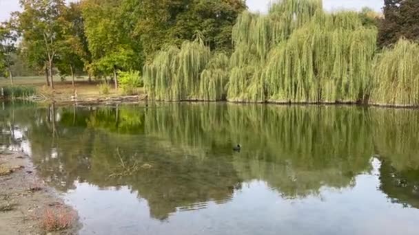 Überblick Über Den Pellerina Park Turin Mit Einem Kleinen See — Stockvideo