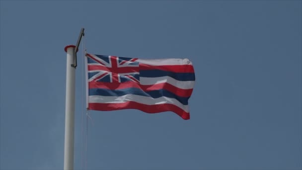 Bandeira Protetorado Inglês Acenando Vento Imagens Alta Qualidade — Vídeo de Stock