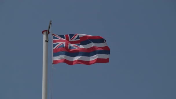 Англійський Прапор Протекторату Махав Вітром Високоякісні Кадри — стокове відео