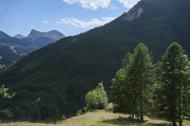 Val Susa 'daki Piedmontese Alpleri' nin Bardonecchia İncisi 'nin yukarısındaki yemyeşil dağlar. Yüksek kalite fotoğraf