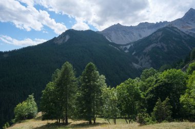 Val Susa 'daki Piedmontese Alpleri' nin Bardonecchia İncisi 'nin yukarısındaki yemyeşil dağlar. Yüksek kalite fotoğraf