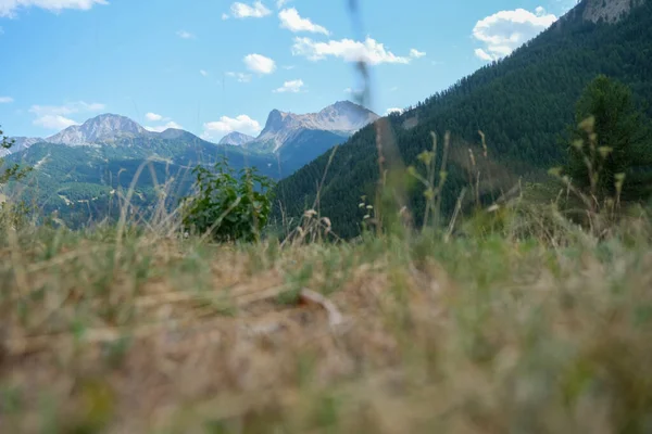 瓦尔苏萨皮埃蒙特阿尔卑斯山上的巴尔多内基亚珍珠上方繁茂的群山 高质量的照片 — 图库照片