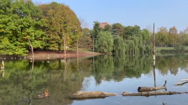 Πάρκο Pellerina Στο Τορίνο Πανοραμική Λίμνη Υψηλής Ποιότητας Πλάνα — Αρχείο Βίντεο