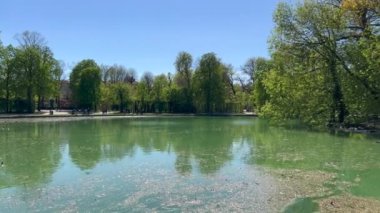 Panorama ve ördekler Parma İtalya 'daki dük parkının küçük gölünde