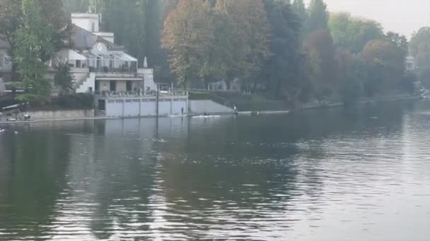 Fiume Torino Barche Canoe Filmati Alta Qualità — Video Stock