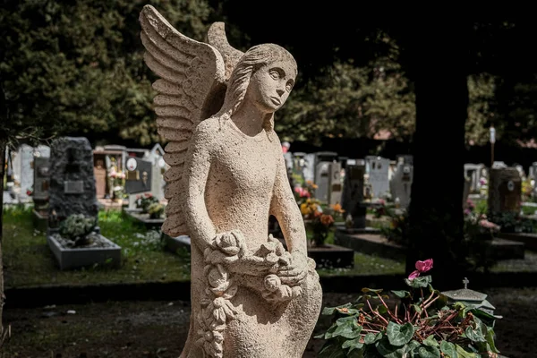 Estátua Anjo Cemitério Abandonado Foto Alta Qualidade — Fotografia de Stock