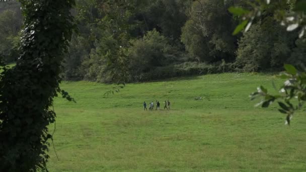 Skenderiye Deki Şehir Parkında Gezinen Insanlar Yüksek Kalite Görüntü — Stok video