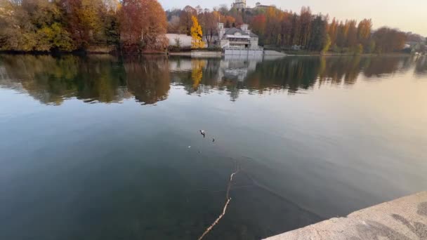 Turin Panorama Över Floden Vid Solnedgången Högkvalitativ Film — Stockvideo
